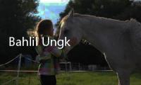 Bahlil Ungkap Kabar Baik Disektor Hulu Migas, Apa Itu?