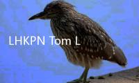 LHKPN Tom Lembong Capai Rp 101 Miliar, Anehnya Tak Punya Aset Rumah dan Tanah