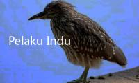 Pelaku Industri Girang Jika PPN Kripto Dihapus, Tapi Minta PPH Cukup 0,1%