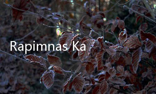 Rapimnas Kadin 2024, Adindya Bakrie Fokus Atasi Isu Kemiskinan