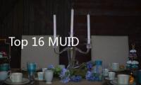 Top 16 MUID 2024 Hadir dengan Finalis Beragam, Ada Ibu Dua Anak