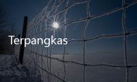 Terpangkas Rp13 Ribu, Harga Emas Antam Jelang Akhir Pekan Ini Dipatok Rp1.910.000 per Gram