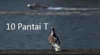10 Pantai Terpopuler di Dunia versi Google Trends dan TikTok